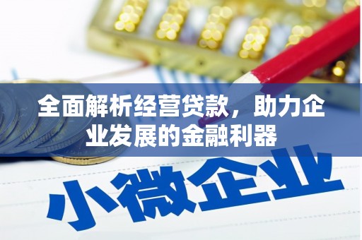 南岳全面解析经营贷款，助力企业发展的金融利器
