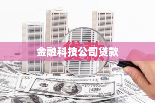 南岳金融科技公司贷款
