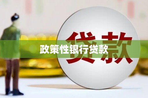 南岳政策性银行贷款