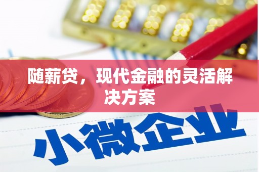南岳随薪贷，现代金融的灵活解决方案
