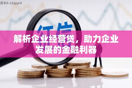 南岳解析企业经营贷，助力企业发展的金融利器
