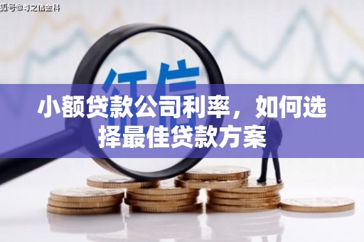 南岳小额贷款公司利率，如何选择最佳贷款方案