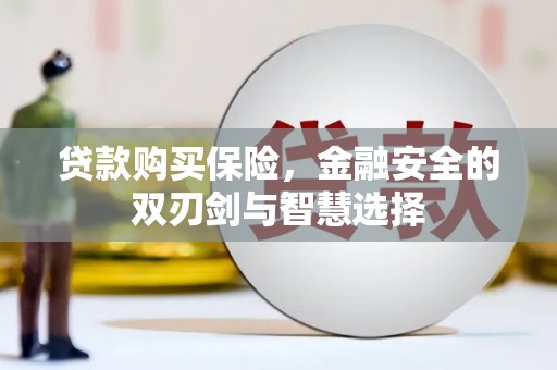 南岳贷款购买保险，金融安全的双刃剑与智慧选择