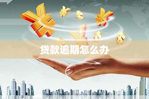 南岳贷款逾期怎么办