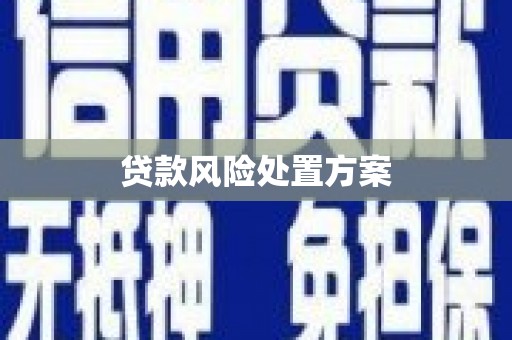 南岳贷款风险处置方案