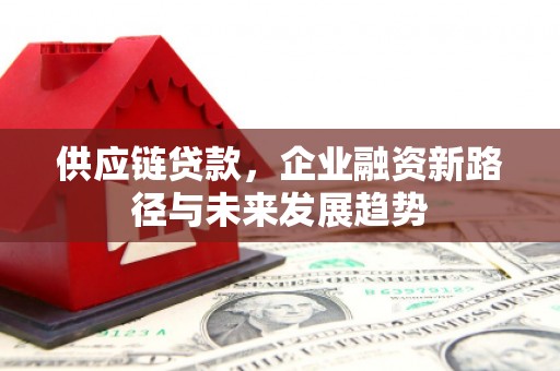 南岳供应链贷款，企业融资新路径与未来发展趋势