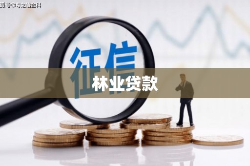 南岳林业贷款