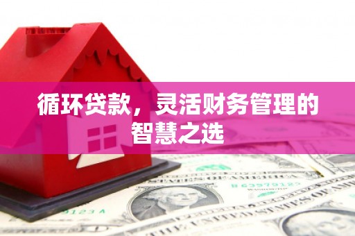 南岳循环贷款，灵活财务管理的智慧之选