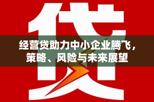 南岳经营贷助力中小企业腾飞，策略、风险与未来展望