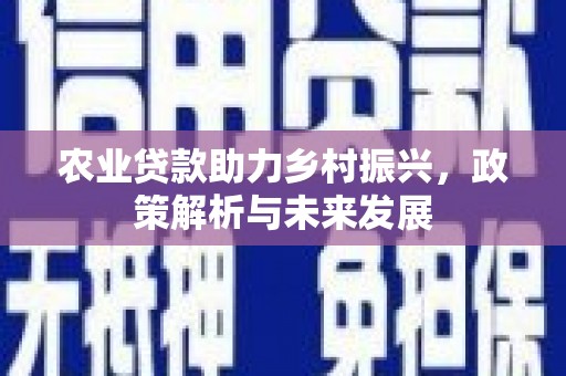 南岳农业贷款助力乡村振兴，政策解析与未来发展
