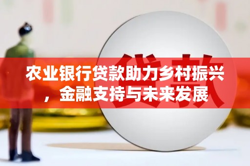 南岳农业银行贷款助力乡村振兴，金融支持与未来发展