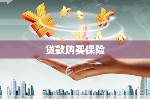 南岳贷款购买保险