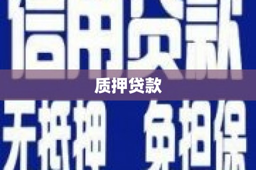 南岳质押贷款