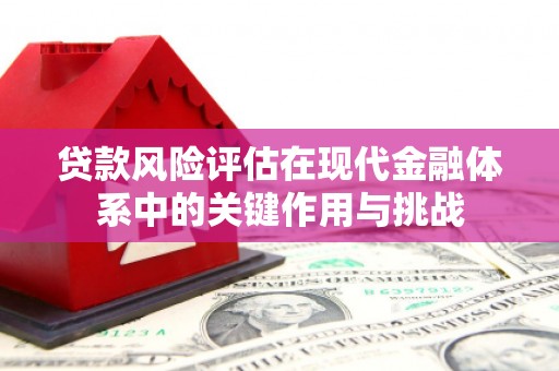 南岳贷款风险评估在现代金融体系中的关键作用与挑战