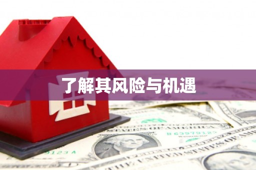 南岳了解其风险与机遇