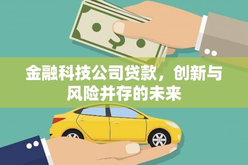 南岳金融科技公司贷款，创新与风险并存的未来