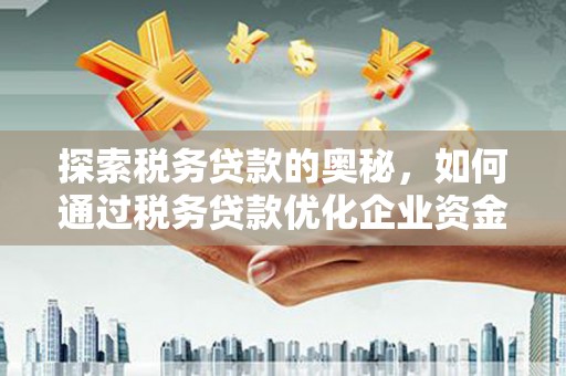 南岳探索税务贷款的奥秘，如何通过税务贷款优化企业资金流
