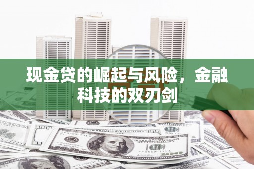 南岳现金贷的崛起与风险，金融科技的双刃剑