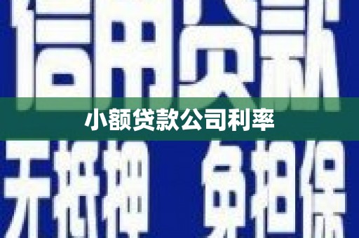南岳小额贷款公司利率