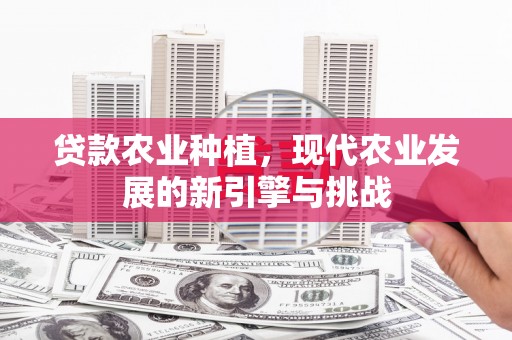 南岳贷款农业种植，现代农业发展的新引擎与挑战