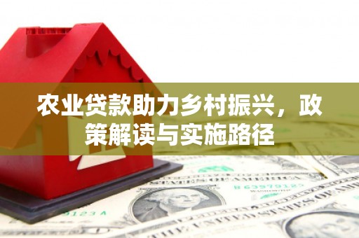 南岳农业贷款助力乡村振兴，政策解读与实施路径