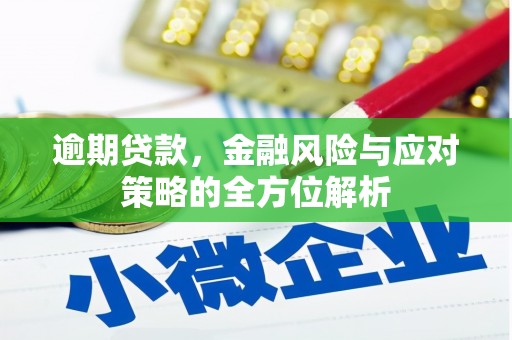 南岳逾期贷款，金融风险与应对策略的全方位解析