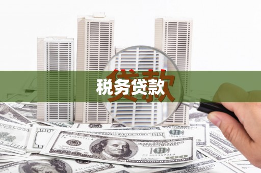南岳税务贷款