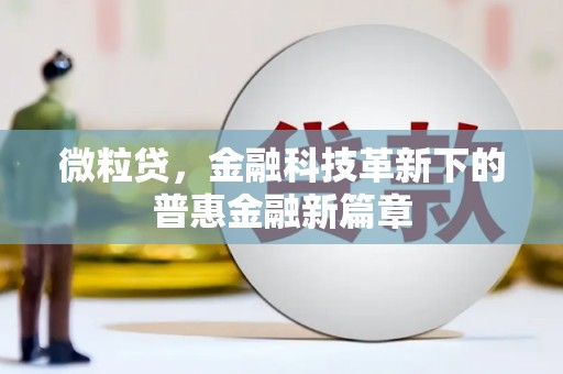 南岳微粒贷，金融科技革新下的普惠金融新篇章