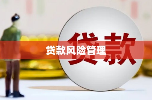 南岳贷款风险管理