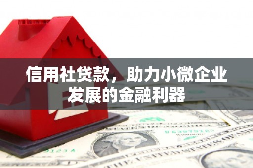 南岳信用社贷款，助力小微企业发展的金融利器