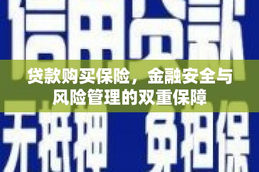 南岳贷款购买保险，金融安全与风险管理的双重保障