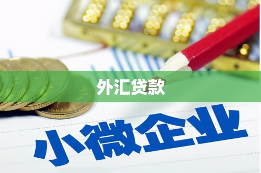 南岳外汇贷款