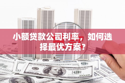南岳小额贷款公司利率，如何选择最优方案？