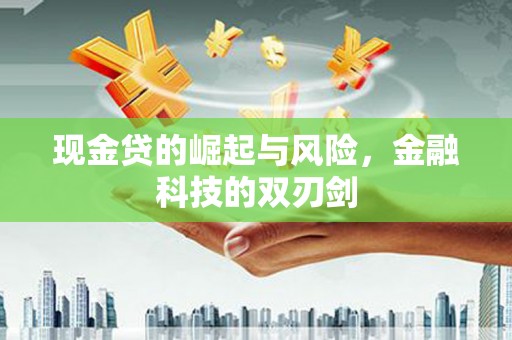 南岳现金贷的崛起与风险，金融科技的双刃剑
