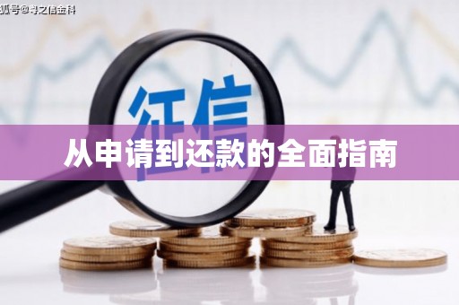 南岳从申请到还款的全面指南