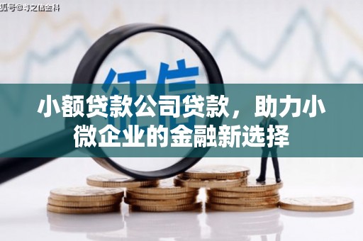 南岳小额贷款公司贷款，助力小微企业的金融新选择