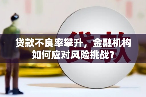 南岳贷款不良率攀升，金融机构如何应对风险挑战？