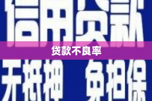 南岳贷款不良率