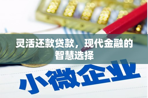 南岳灵活还款贷款，现代金融的智慧选择