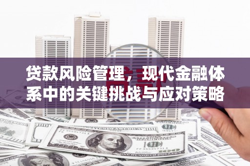 南岳贷款风险管理，现代金融体系中的关键挑战与应对策略