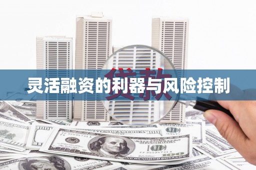 南岳灵活融资的利器与风险控制