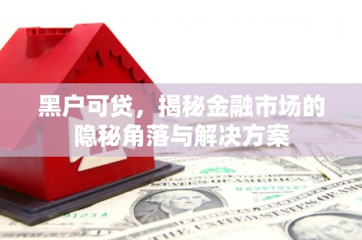 南岳黑户可贷，揭秘金融市场的隐秘角落与解决方案