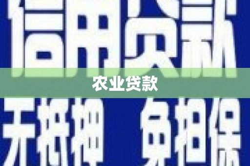 南岳农业贷款