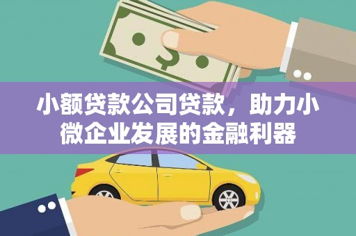 南岳小额贷款公司贷款，助力小微企业发展的金融利器