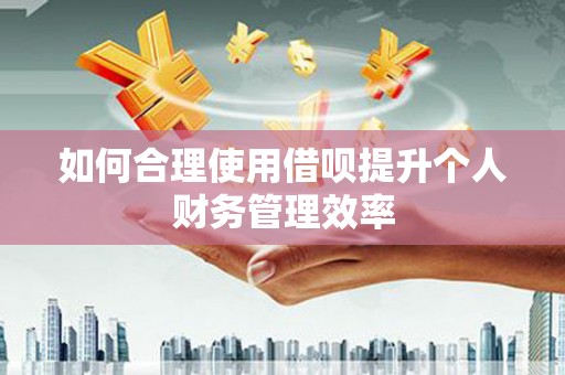 南岳如何合理使用借呗提升个人财务管理效率