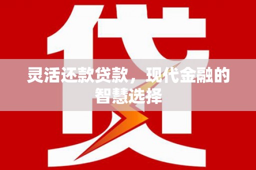 南岳灵活还款贷款，现代金融的智慧选择