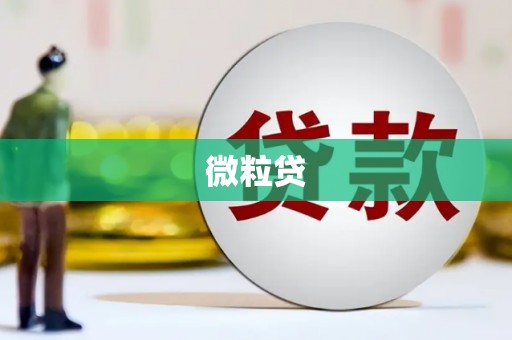 南岳微粒贷