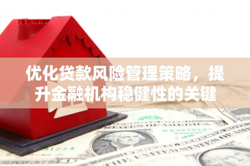 南岳优化贷款风险管理策略，提升金融机构稳健性的关键