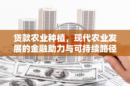 南岳贷款农业种植，现代农业发展的金融助力与可持续路径