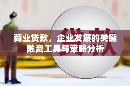南岳商业贷款，企业发展的关键融资工具与策略分析